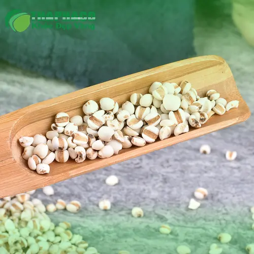 Các món ăn ngon và bổ dưỡng chế biến từ ý dĩ khô
