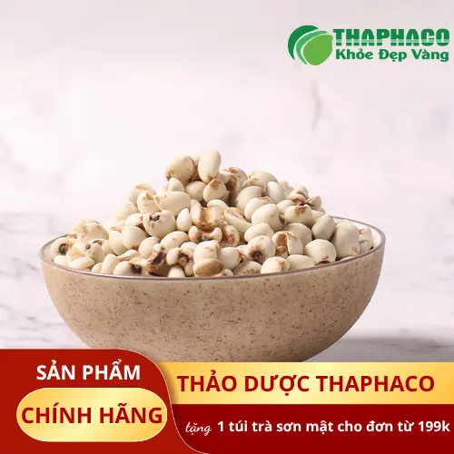 Quá trình kiểm tra chất lượng hạt ý dĩ tại phòng thí nghiệm Thaphaco