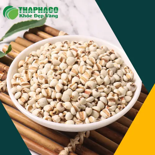 Dược sĩ Thapaco tư vấn về lợi ích sức khỏe của ý dĩ