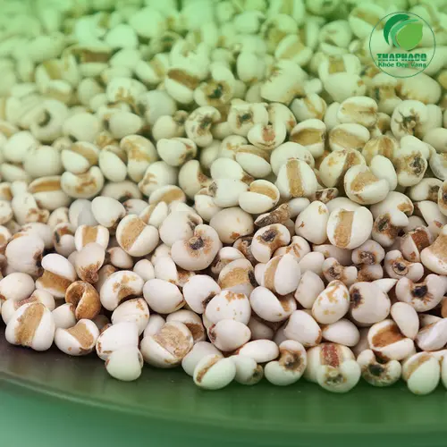 Nước uống từ ý dĩ thanh mát, bổ dưỡng, hỗ trợ tăng cân
