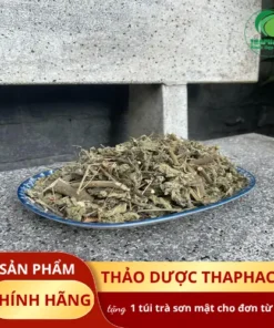 Địa chỉ bán cây cối xay sấy khô tại TP.HCM