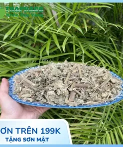 Địa chỉ bán cây cối xay sấy khô chất lượng cao tại TP.HCM