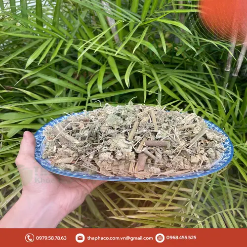 Các gói sản phẩm cây cối xay sấy khô THAPHACO đa dạng kích cỡ