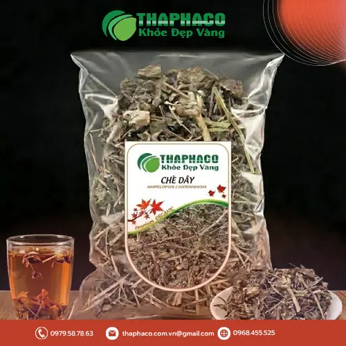 Cách pha trà dây đúng chuẩn tại nhà
