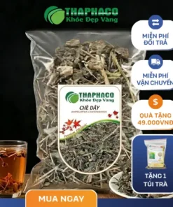 1kg Chè Dây Sấy Khô Giá Tốt - THAPHACO Chất Lượng Cao