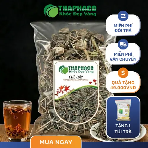 Chè Dây Sấy Khô THAPHACO chất lượng cao