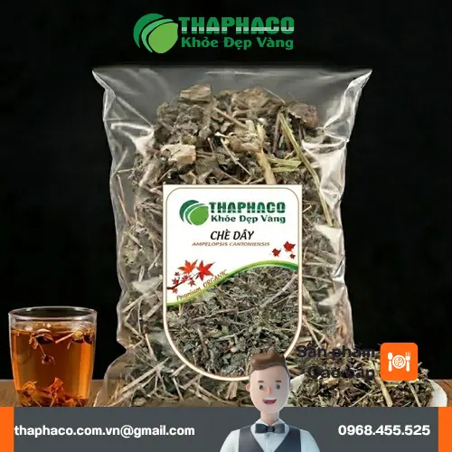 Chè dây khô THAPHACO được thu hái và sơ chế cẩn thận