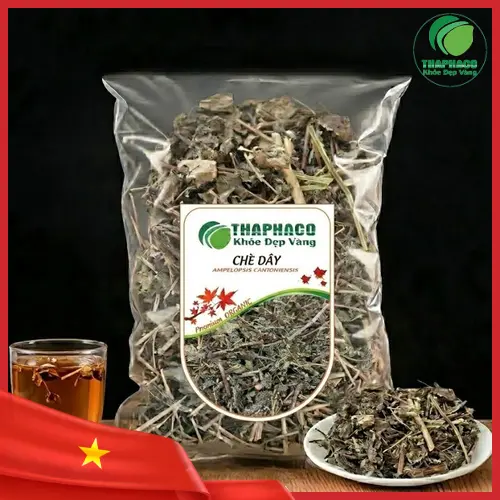 Hình ảnh cây chè dây được thu hoạch