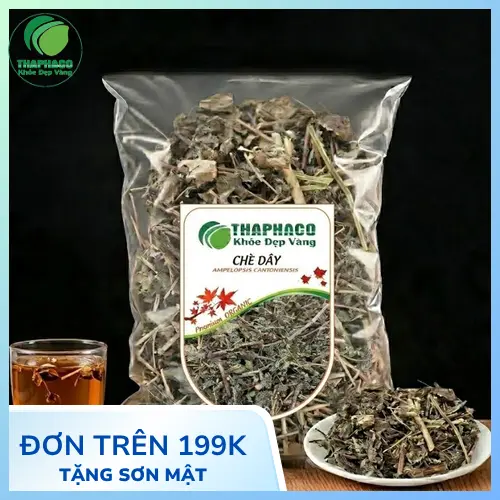 Hình ảnh cây chè dây khô