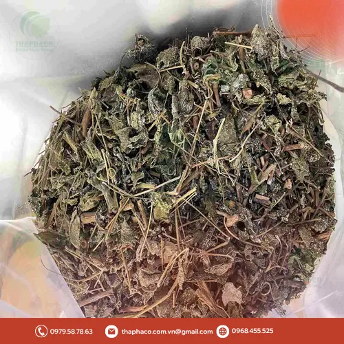 Dấu hiệu chè dây bị ẩm mốc
