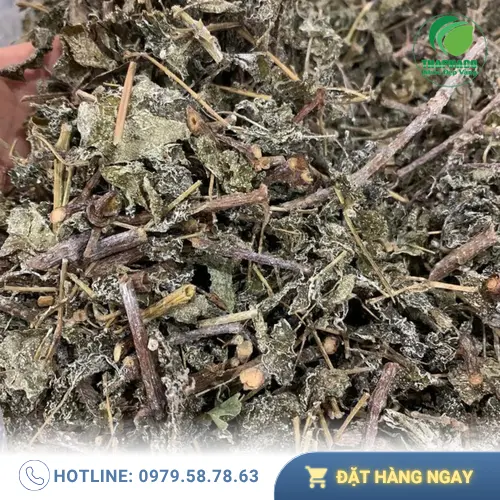 Quy trình sản xuất Chè Dây Sấy Khô THAPHACO