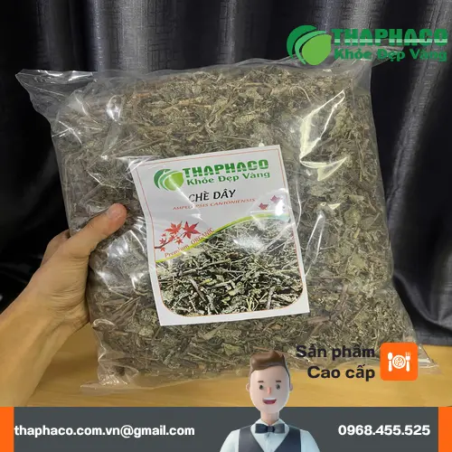 Thành phần hóa học trong chè dây khô