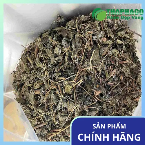 Những lưu ý quan trọng khi sử dụng trà dây
