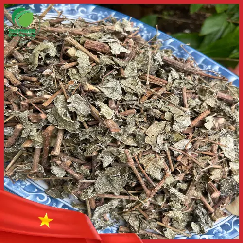 Cách pha Chè Dây Sấy Khô THAPHACO đúng cách