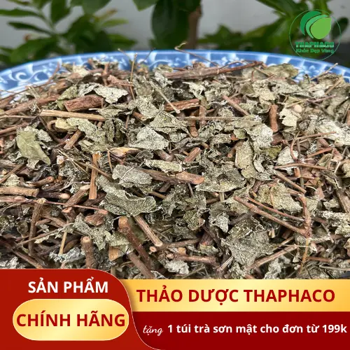 Pha chè dây khô THAPHACO đúng cách để có hương vị thơm ngon