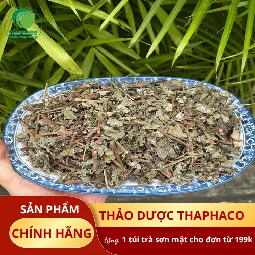 Kho dược liệu chè dây của THAPHACO
