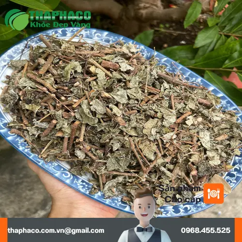 Màu nước và hương vị chè dây sau khi pha