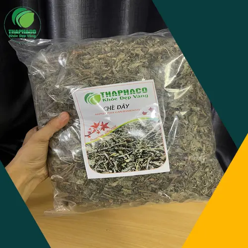 Trả lời câu hỏi thường gặp về trà dây