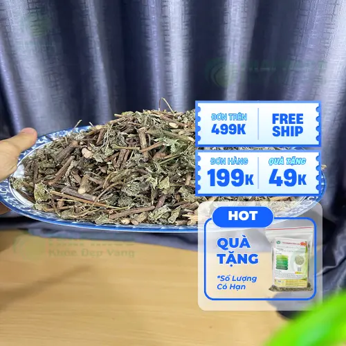 Liên hệ THAPHACO để mua Chè Dây Sấy Khô giá tốt