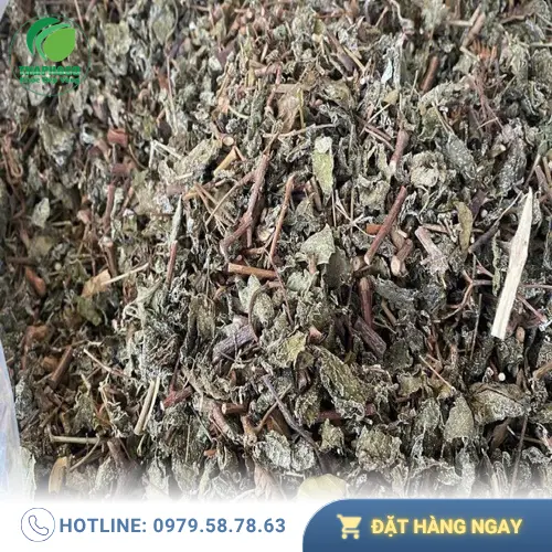 Địa chỉ mua chè dây khô THAPHACO uy tín tại TP.HCM