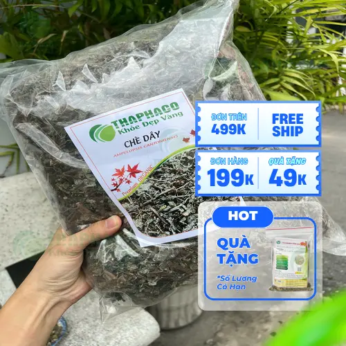 Chè dây THAPHACO - sản phẩm chất lượng cao