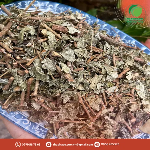 Chọn mua chè dây khô chất lượng