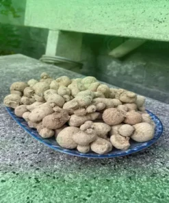Bán Sỉ Củ Tam Thất Nam Tận Gốc Tại TP.HCM - THAPHACO