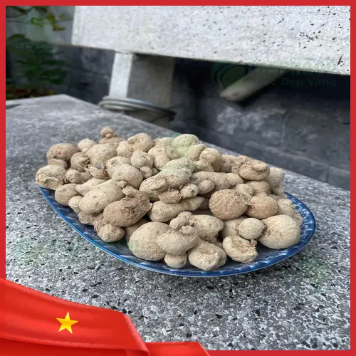 Củ tam thất nam tươi nguyên củ, chất lượng cao tại TP.HCM