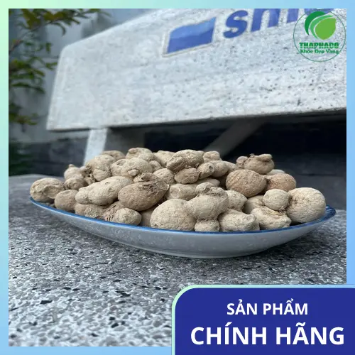 Túi củ tam thất nam sấy khô 1kg chất lượng cao của THAPHACO