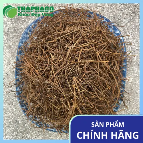 Hình ảnh cây dây tơ hồng tươi