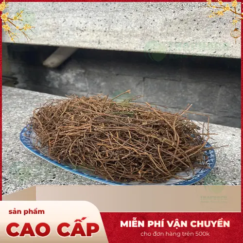 Dây Tơ Hồng khô chất lượng cao của THAPHACO