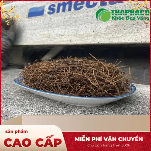 Hình ảnh dây tơ hồng nguyên liệu chất lượng cao tại Thảo Dược THAPHACO