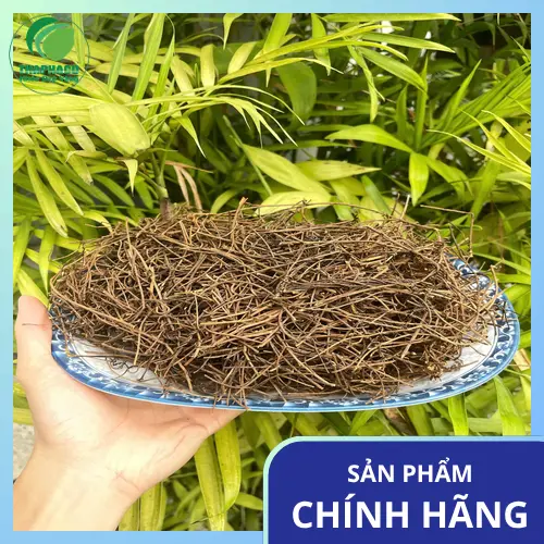Hình ảnh dây tơ hồng khô chất lượng cao tại Thaphaco, màu vàng tự nhiên, không lẫn tạp chất.