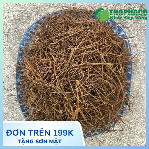 Dây tơ hồng khô chất lượng cao từ Thảo Dược THAPHACO