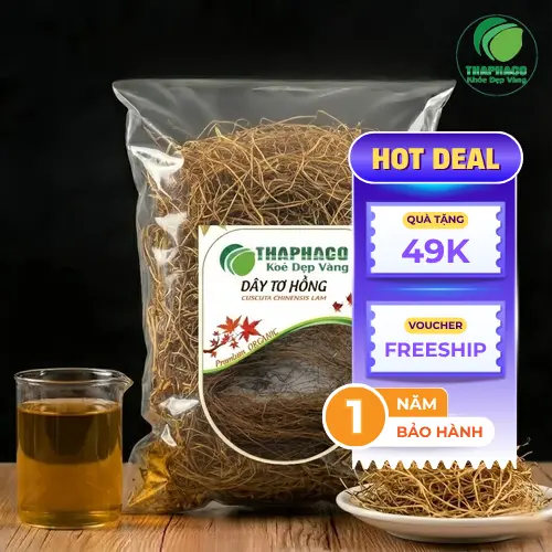 Dây tơ hồng Thảo Dược THAPHACO chất lượng tại TP.HCM