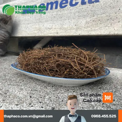 Cách sử dụng dây tơ hồng THAPHACO hiệu quả