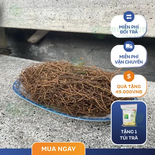 Hình ảnh dây tơ hồng khô và hạt