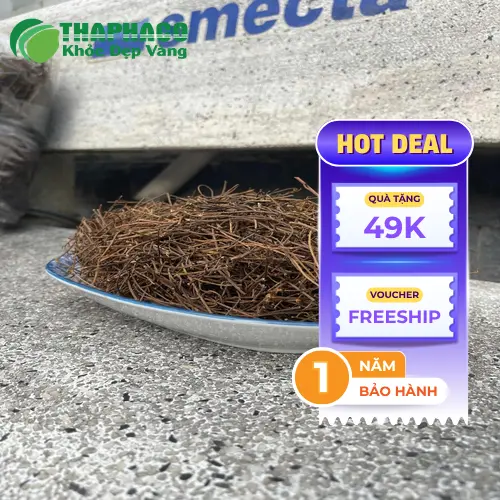 Dây Tơ Hồng sấy khô chất lượng, giá ưu đãi tại TP.HCM từ THAPHACO