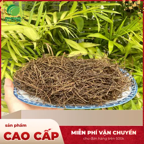 Dây tơ hồng khô đã được chế biến và đóng gói tại THAPHACO