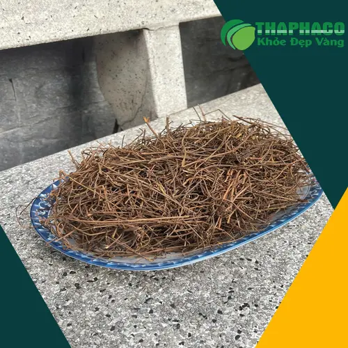 Dây tơ hồng đã sơ chế và phơi khô, sẵn sàng để bảo quản