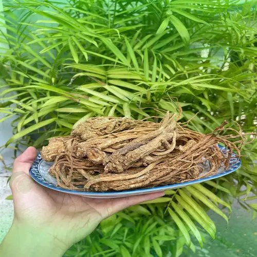 đương quy khô, đương quy thái lát chất lượng cao