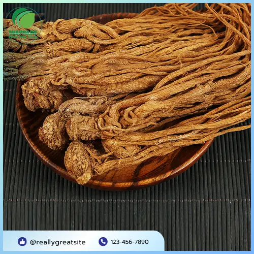 đương quy được kiểm định chất lượng nghiêm ngặt