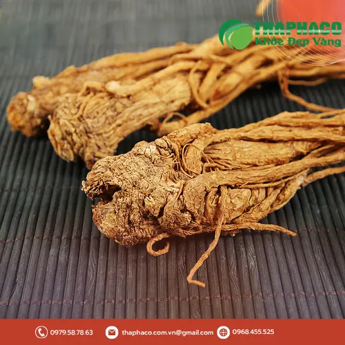 đương quy phơi khô tự nhiên, đảm bảo dược tính