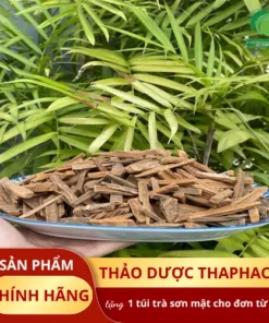 1kg Hậu Phác Khô Giá Bao Nhiêu? Mua Ở Đâu Uy Tín TP.HCM?