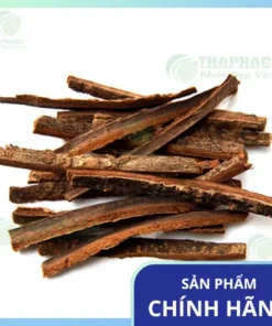 Mua Sỉ Hậu Phác Khô: Uy Tín, Giá Tốt & Chất Lượng Tại THAPHACO