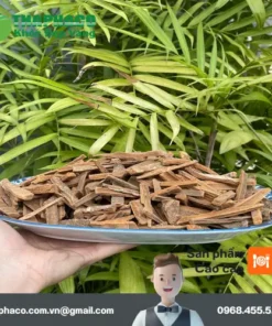 1kg Hậu Phác Khô Giá Bao Nhiêu Tiền? Mua Ở Đâu Uy Tín, Chất Lượng?