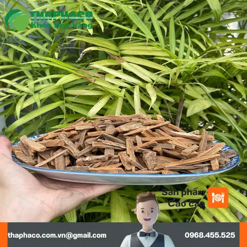 Hậu Phác khô chất lượng cao từ THAPHACO, đảm bảo nguồn gốc tự nhiên