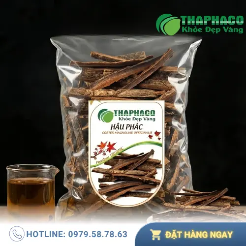 Giá Hậu Phác Khô Thaphaco và Ưu Đãi Hấp Dẫn