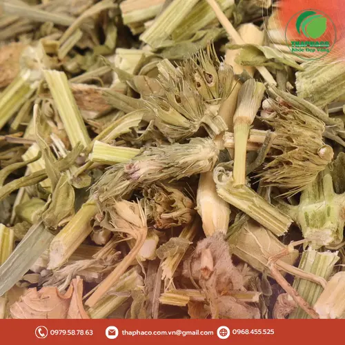 Cây ích mẫu sấy khô được thu hoạch và sơ chế tại THAPHACO