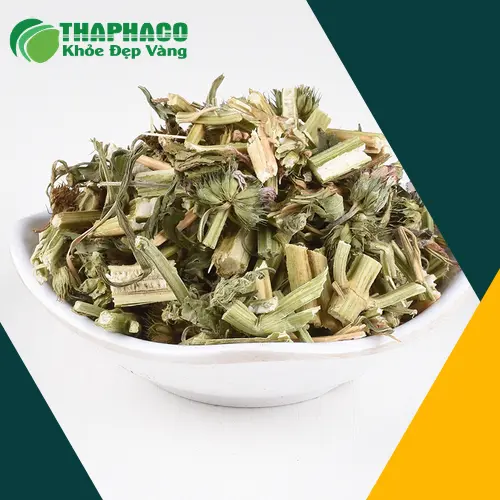 Trà ích mẫu sấy khô chất lượng Thapaco